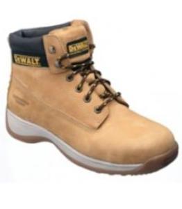 dewalt apprentice honey